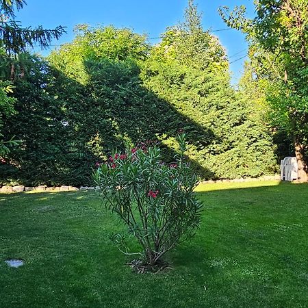 Fuered Deluxe Garden Apartment 巴拉顿菲赖德 外观 照片
