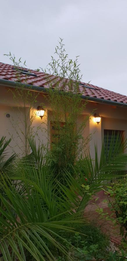 Fuered Deluxe Garden Apartment 巴拉顿菲赖德 外观 照片
