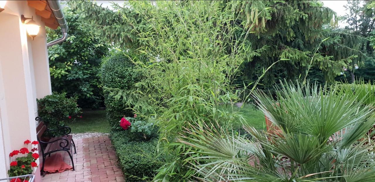 Fuered Deluxe Garden Apartment 巴拉顿菲赖德 外观 照片