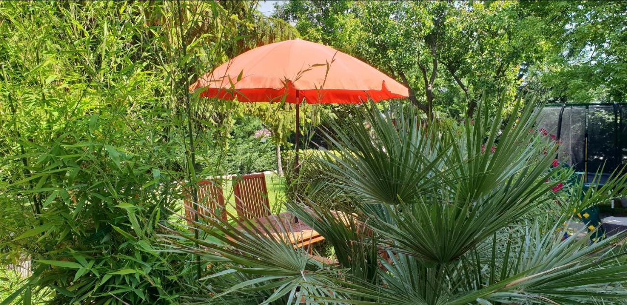 Fuered Deluxe Garden Apartment 巴拉顿菲赖德 外观 照片