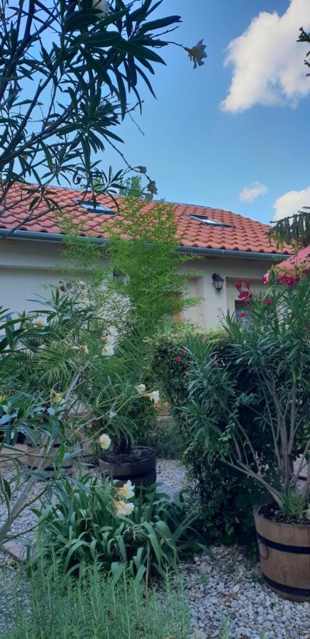 Fuered Deluxe Garden Apartment 巴拉顿菲赖德 外观 照片