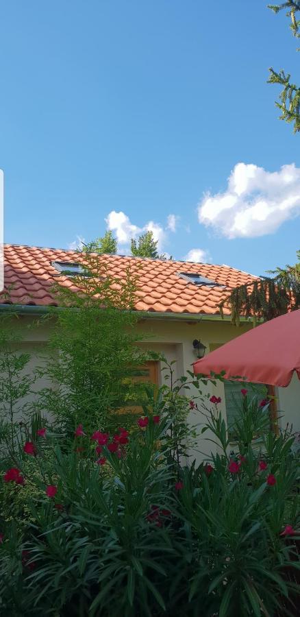 Fuered Deluxe Garden Apartment 巴拉顿菲赖德 外观 照片