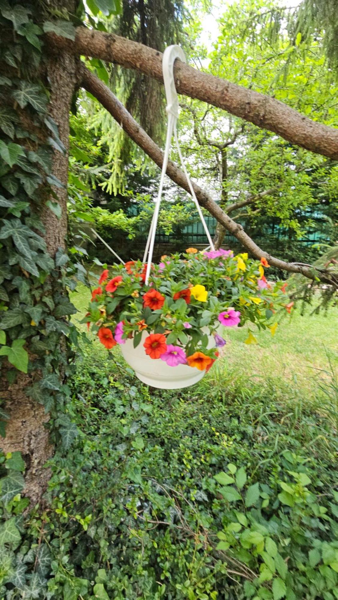 Fuered Deluxe Garden Apartment 巴拉顿菲赖德 外观 照片